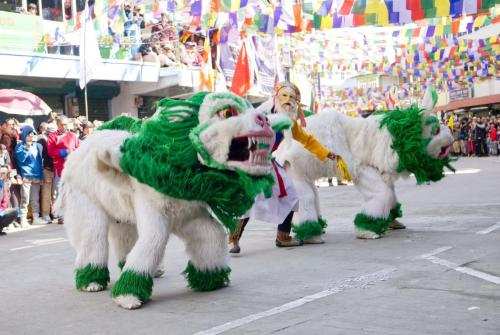 Lion Dance